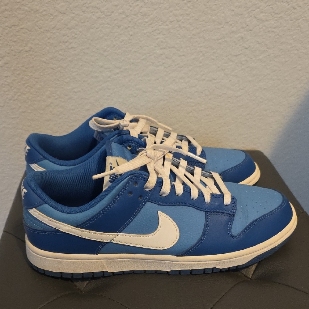 Nike Blue and White Low RETRO Sneakers